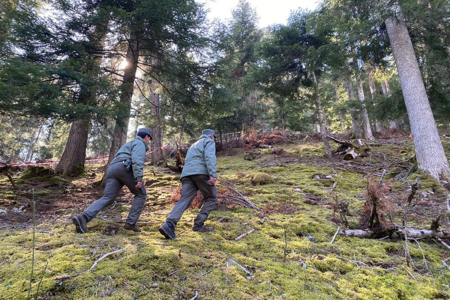 Polizeibeamte im Wald im norditalienischen Caldes, wo ein Jogger von einem Bären angegriffen und getötet worden ist.