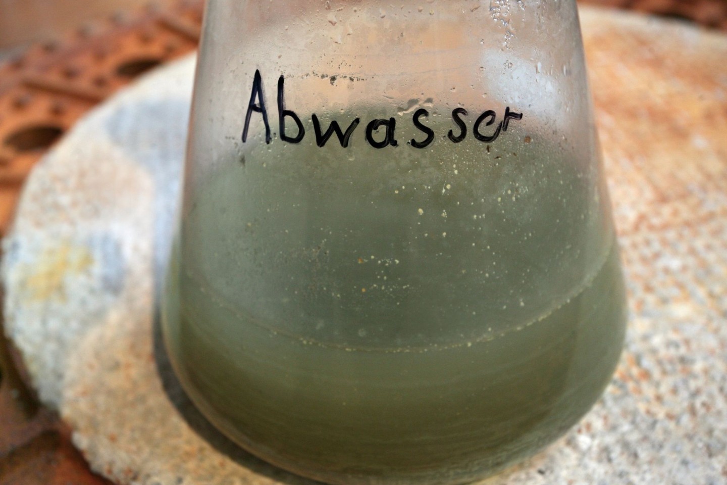 Grün und nützlich: Täglich fließt literweise Abwasser von der Toilette über das Klärwerk bis in unsere Flüsse.