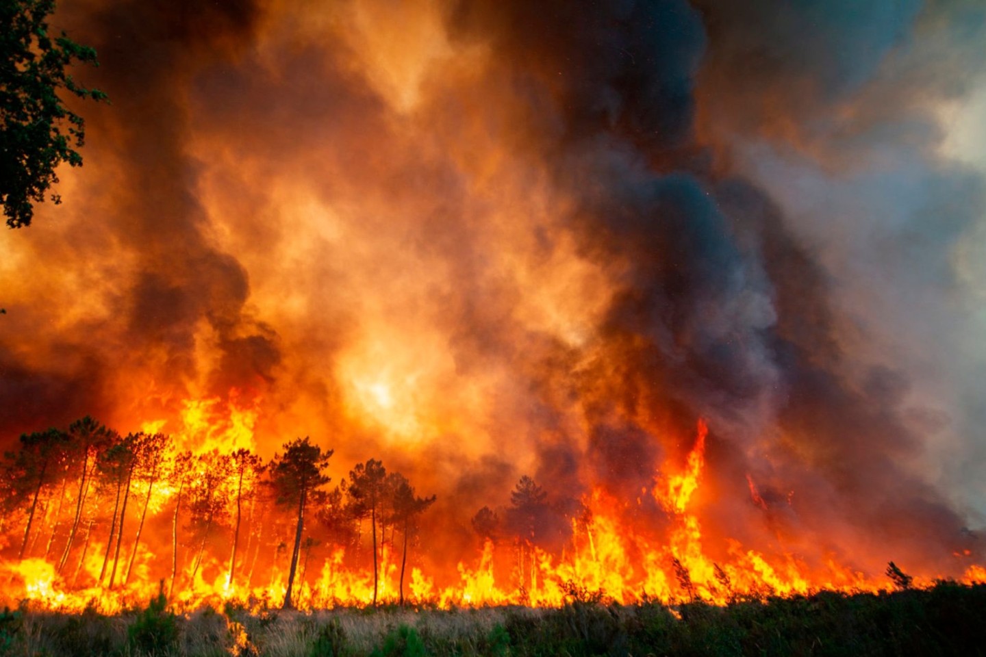 Starke Winde und heißes, trockenes Wetter erschweren die Bemühungen der französischen Feuerwehr, einen riesigen Waldbrand im Südwesten des Landes einzudämmen.