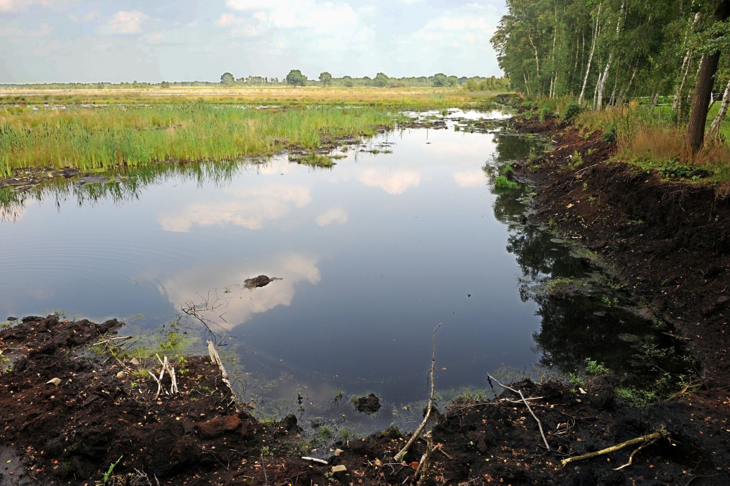 Die Aufnahme zeigt das wiedervernässte Gebiet des Teufelsmoors bei Worpswede (Niedersachsen). Weite Teile des Moors sind wiedervernässt und stehen unter Naturschutz.