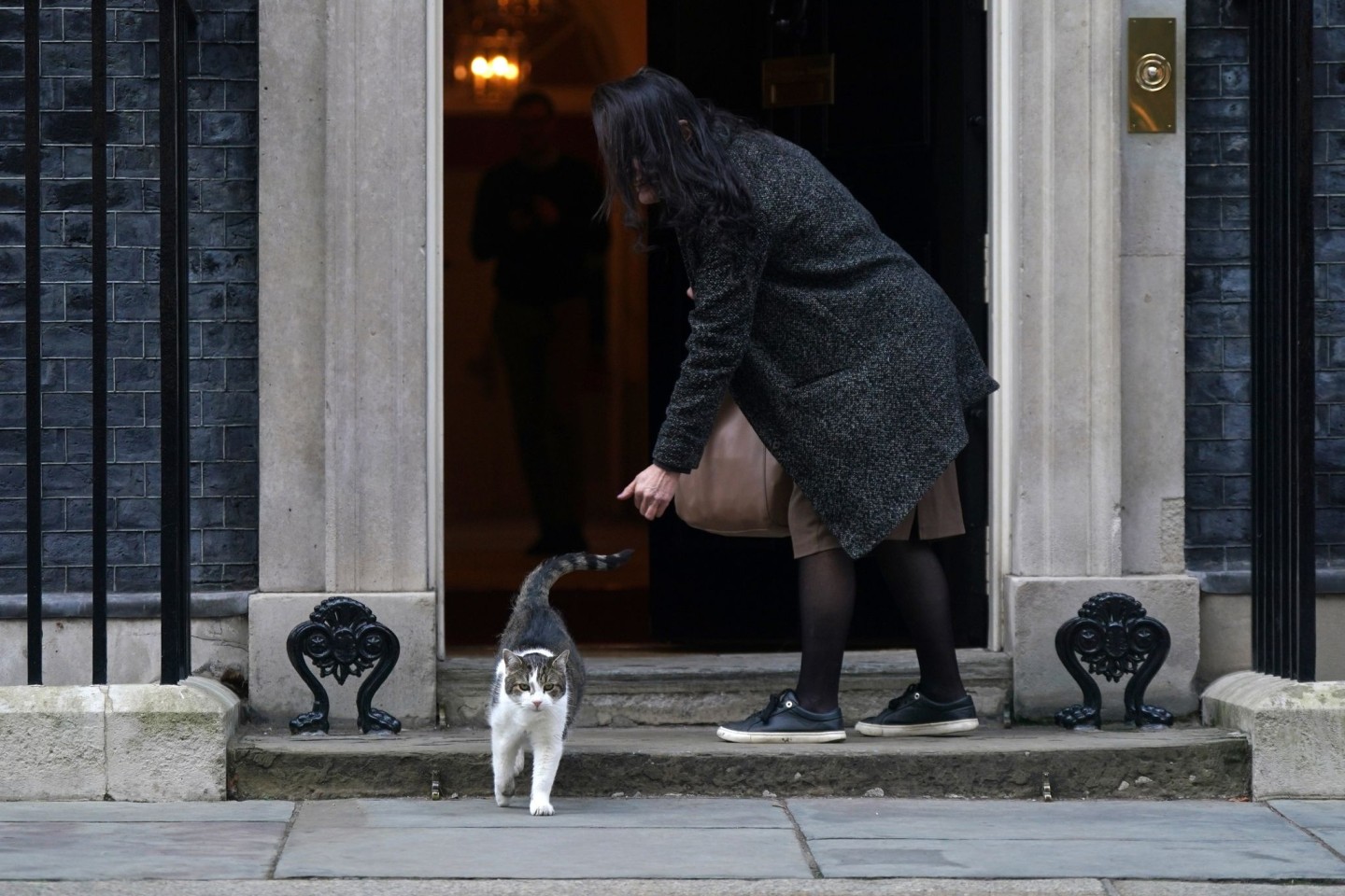 «Schwer, das nicht persönlich zu nehmen», twittert Kater Larry aus der Downing Street über die Enthüllungen.