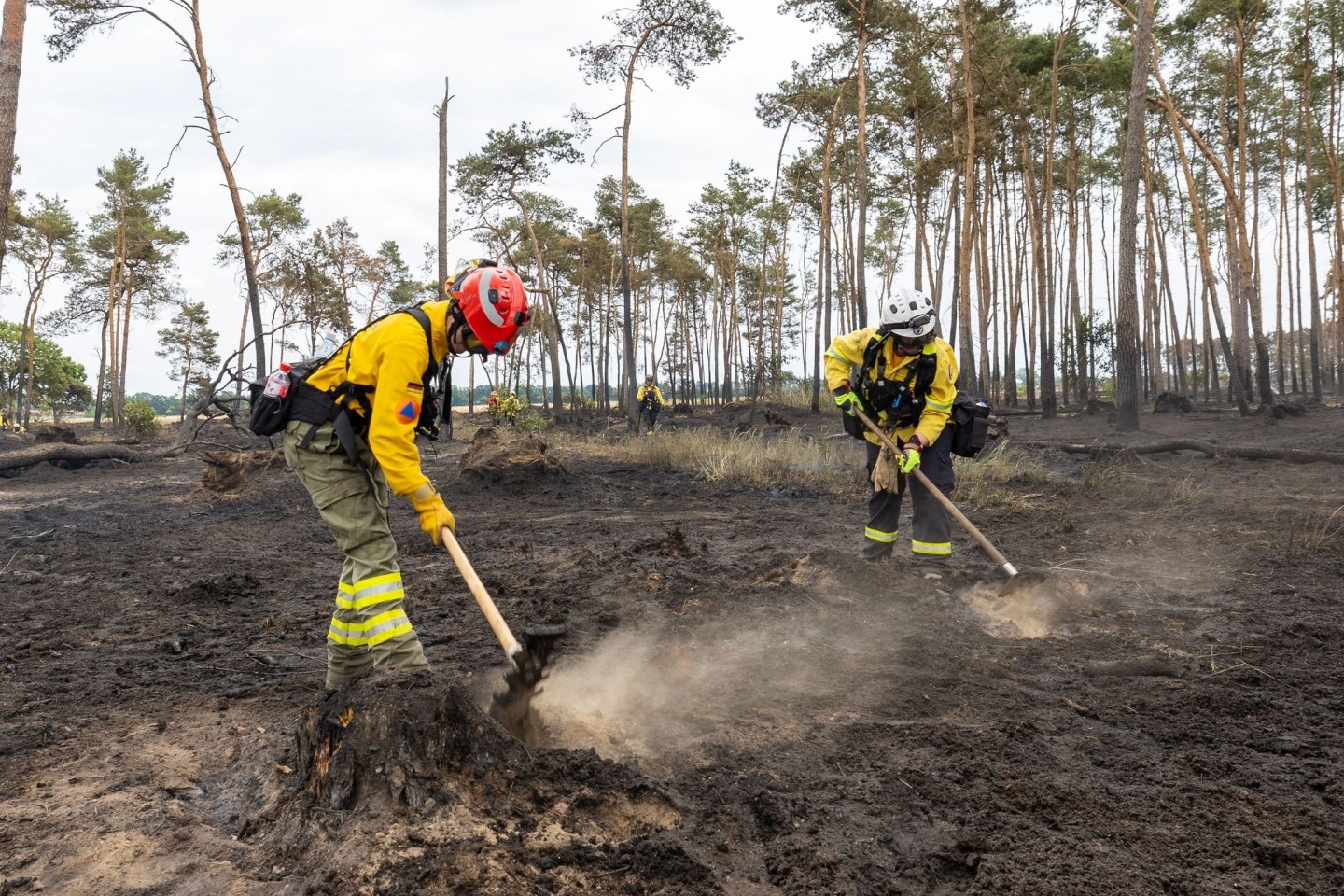 Zwei Feuerwehrfrauen in Brandenburg bearbeiten den Waldboden. Müssen wir uns künftig an solche Bilder gewöhnen oder gibt es Wege, wie wir unsere Wälder besser schützen können?