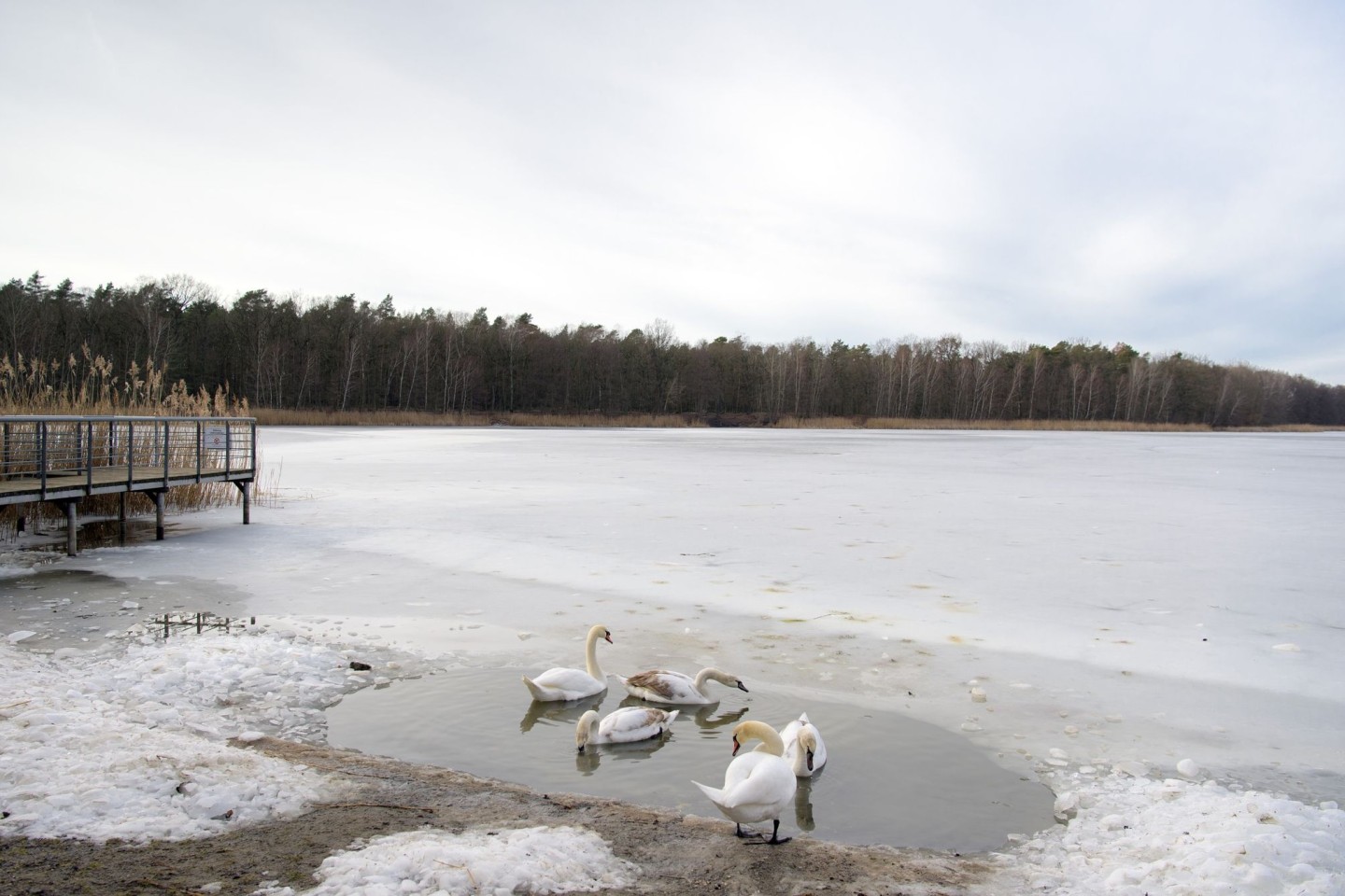 Laut dem Deutschen Wetterdienst (DWD) könnten die drei Monate Dezember, Januar und Februar eine Mitteltemperatur von mindestens 2 Grad erreichen.