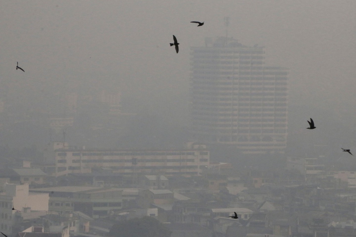 Die weltberühmte Tempelstadt Chiang Mai rangierte in der Statistik der Städte mit der stärksten Luftverschmutzung der Welt wieder an oberster Stelle.