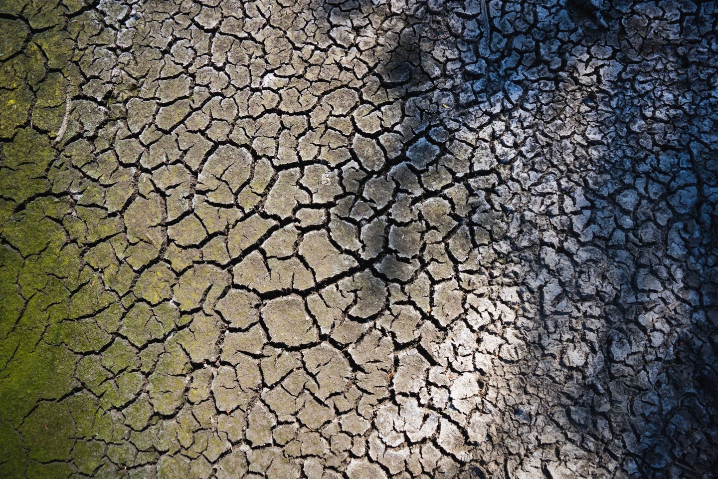 Ein ausgetrockneter Weiher zeigt tiefe Risse.