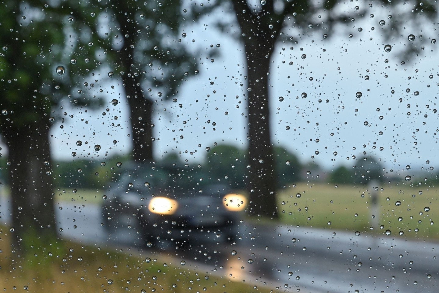 Der Regen kommt.