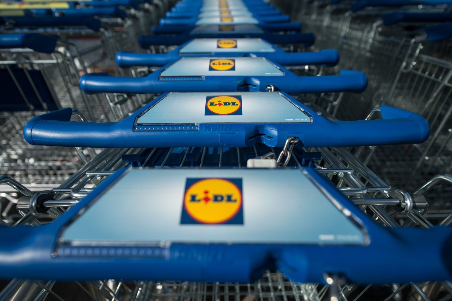 Die Staatsanwaltschaft hat das Ermittlungsverfahren gegen Lidl wegen des Verkaufs von hanfhaltigen Lebensmitteln eingestellt.