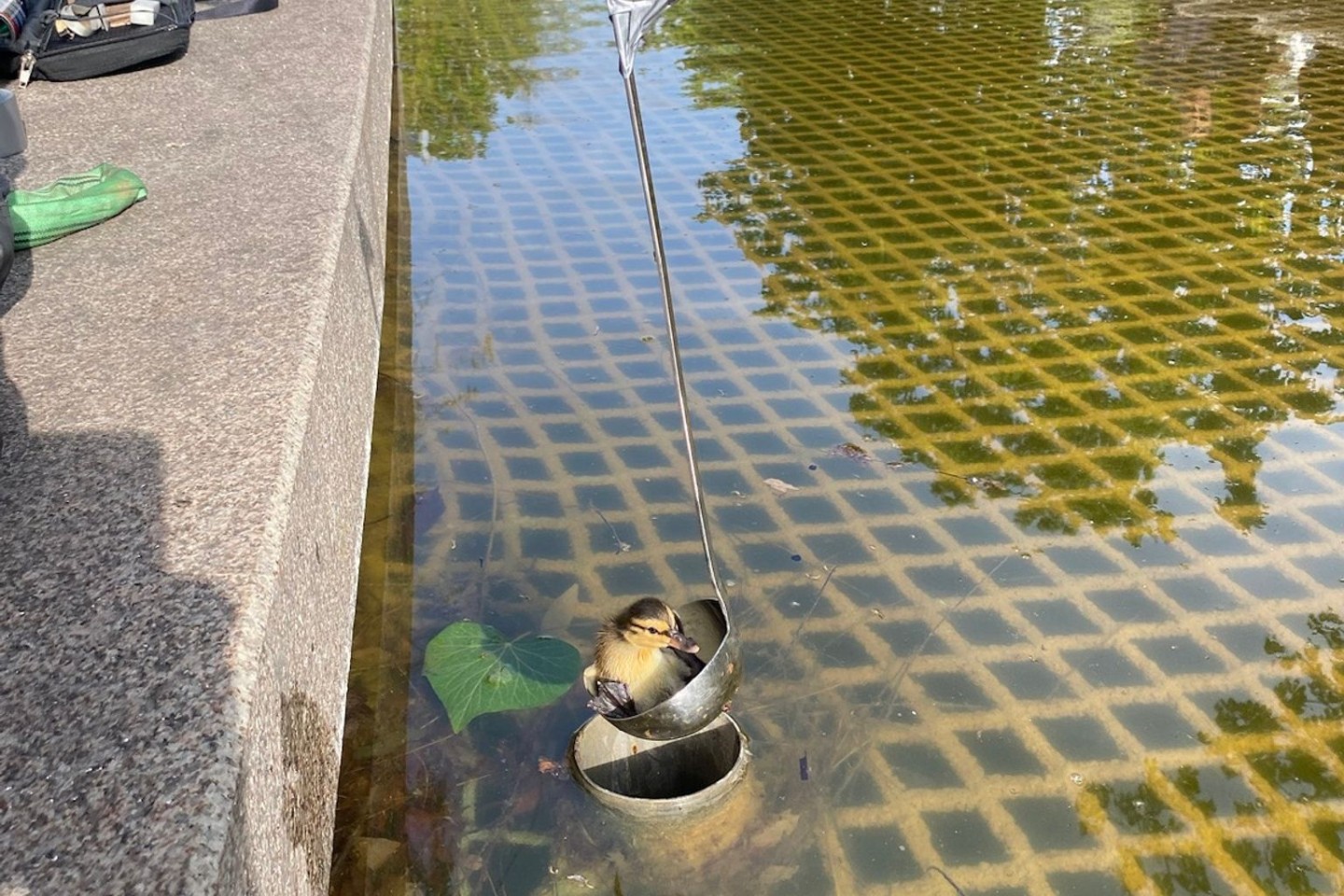 Insgesamt retteten die Einsatzkräfte zwölf Tierkinder mit einer Suppenkelle.