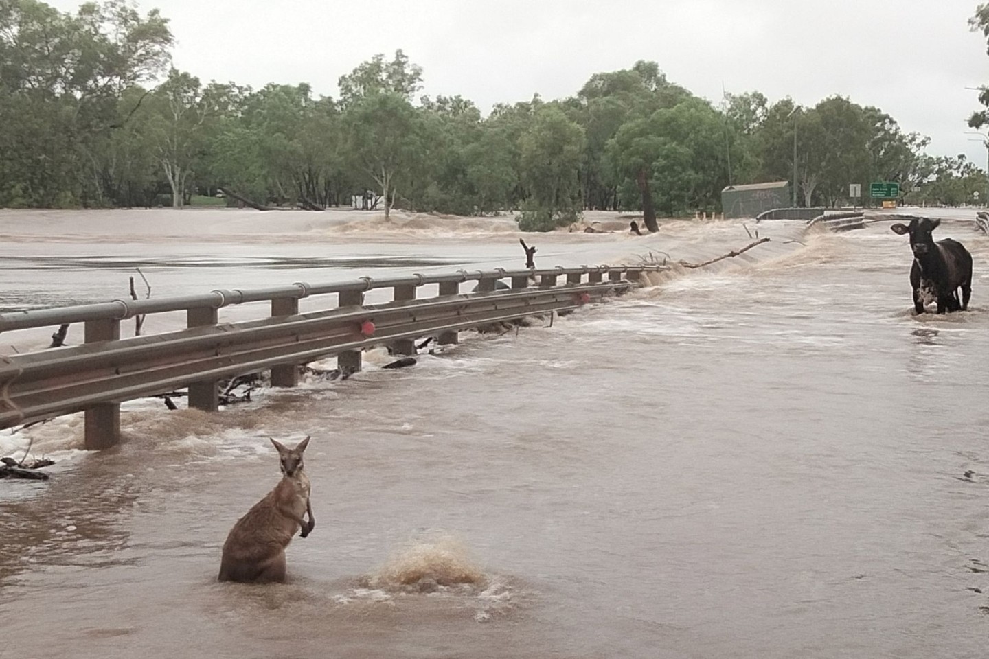 Nach extrem heftigen Regenfällen sind mehrere Ortschaften in der Kimberley-Region komplett überschwemmt.