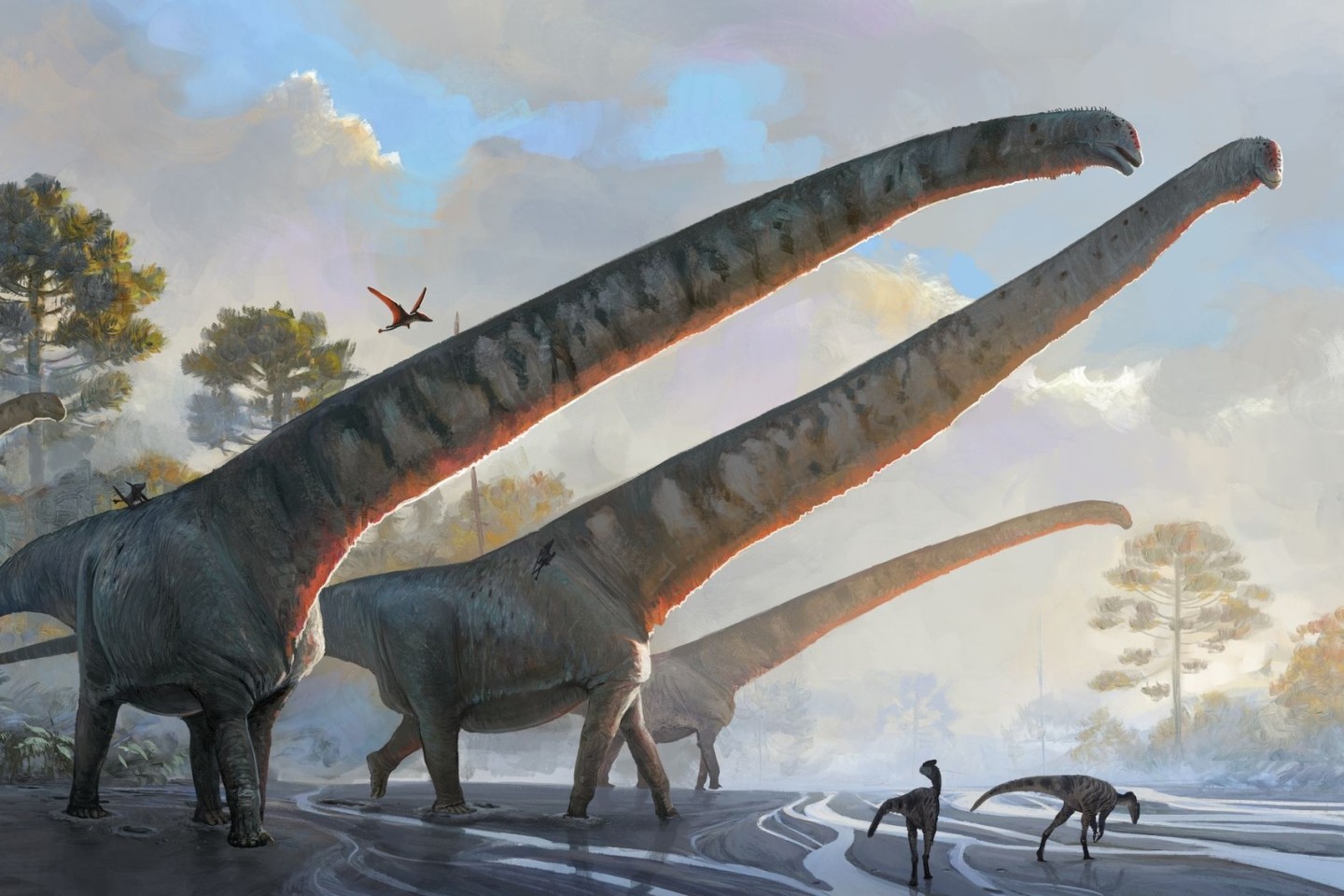 Die undatierte Illustration des Natural History Museums zeigt «Mamenchisaurus sinocanadorums».