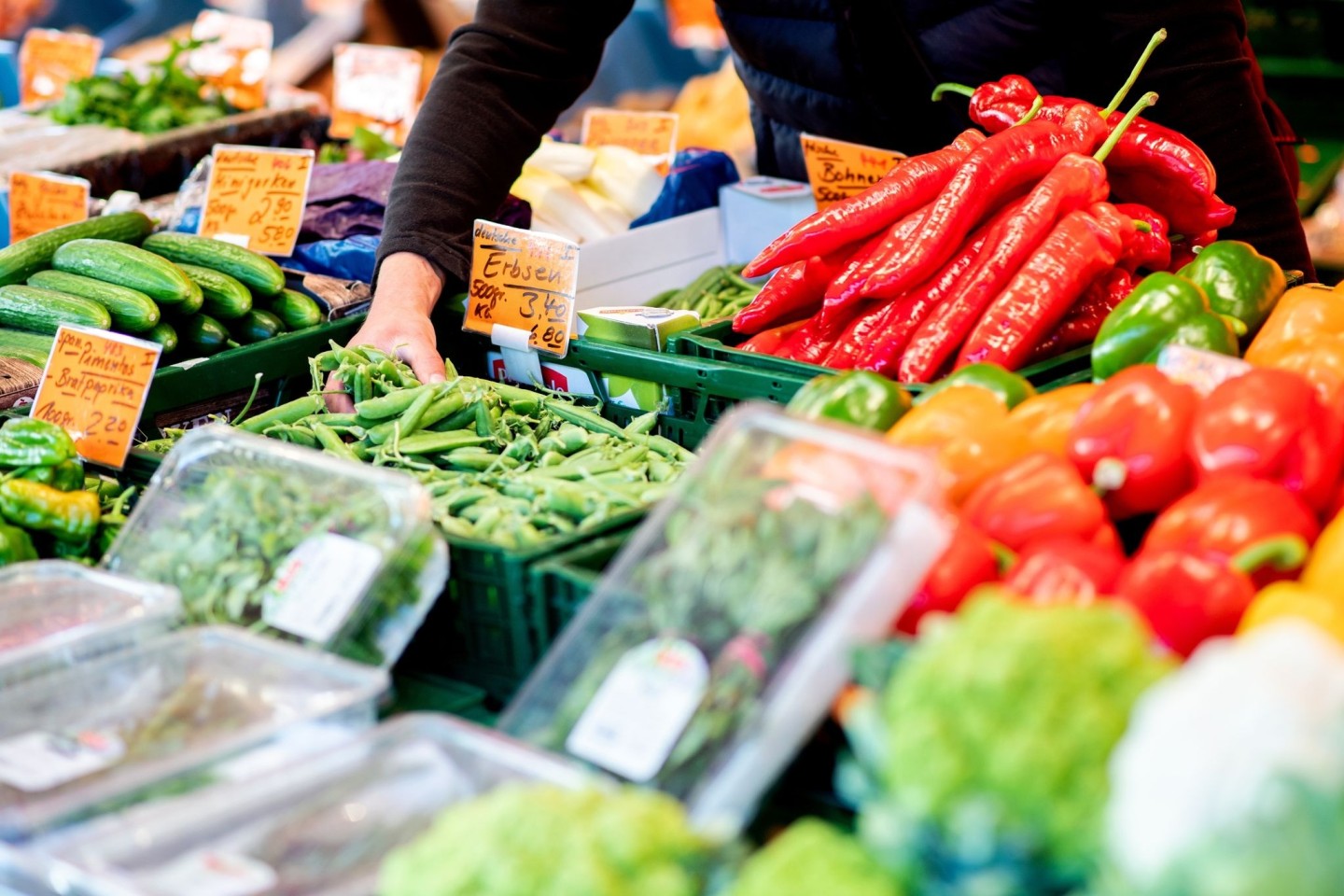 Eine neue Studie untersuchte die Ernährungweisen von Menschen aus 185 Ländern.