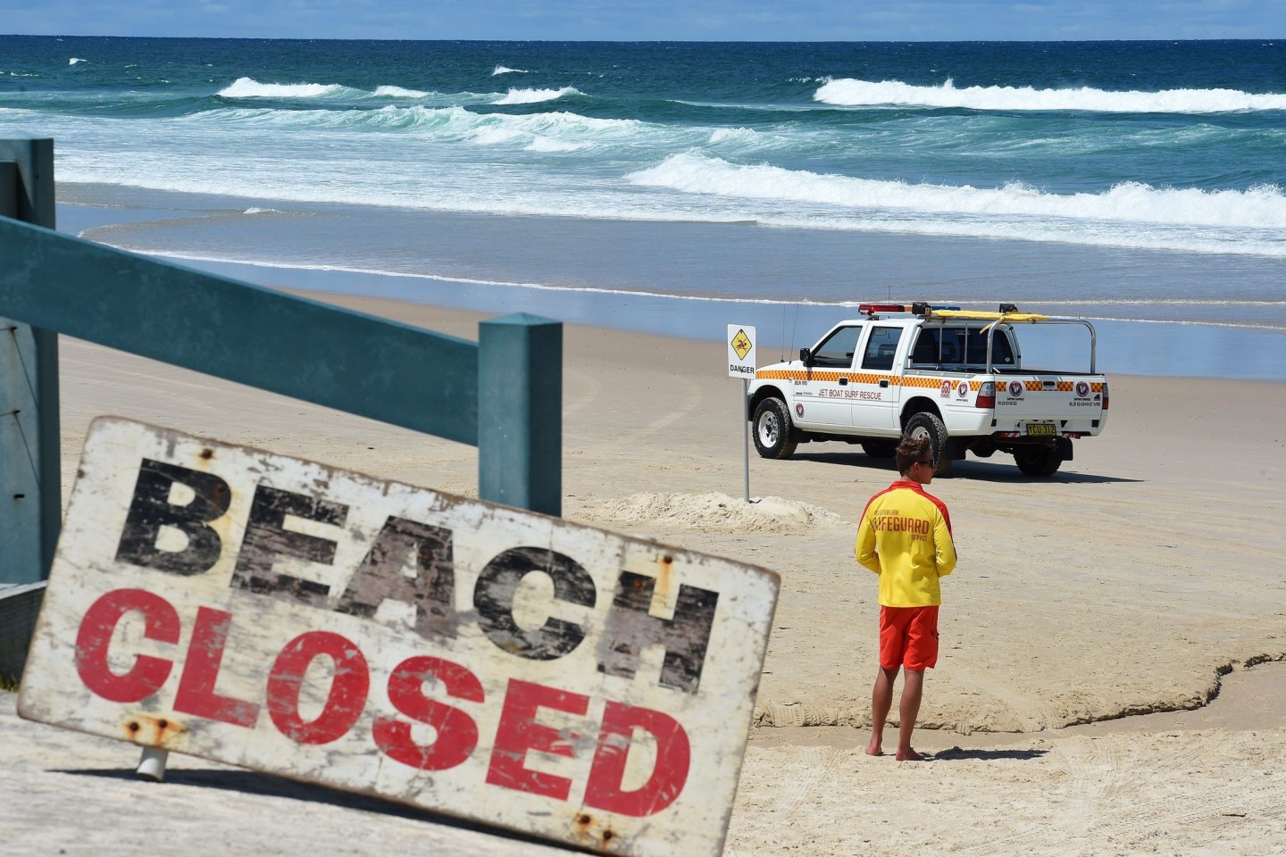 In den Gewässern vor Australien tummeln sich drei Arten von Hammerhaien. Um welche Art es sich am Palm Beach handelte, ist unklar (Archibild).