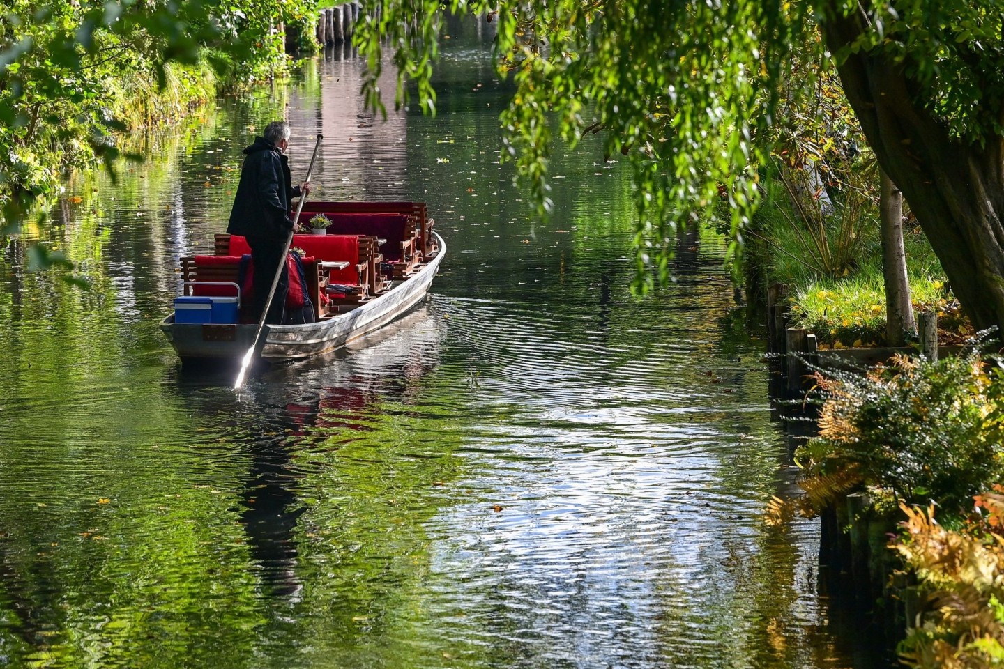 Ein Fährmann ist mit seinem Kahn auf einem Fließ im herbstlichen Spreewald unterwegs.