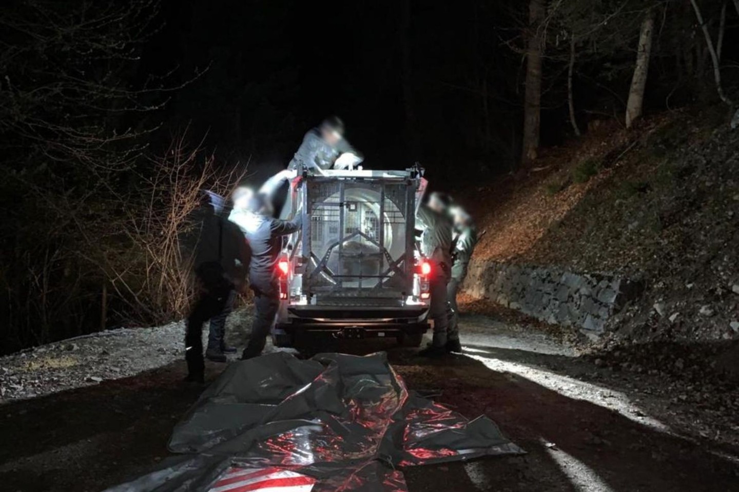 Mitarbeiter des Trentiner Forstkorps bereiten den Transport der Bärin JJ4, die in der Nacht mit Hilfe einer großen Rohrfalle gefasst worden war.