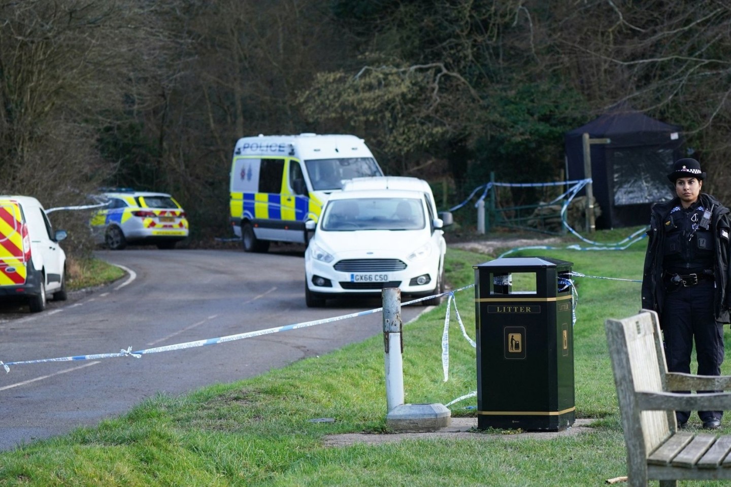 Eine Hundesitterin wurde in England von mindestens einem der Tiere angegriffen.