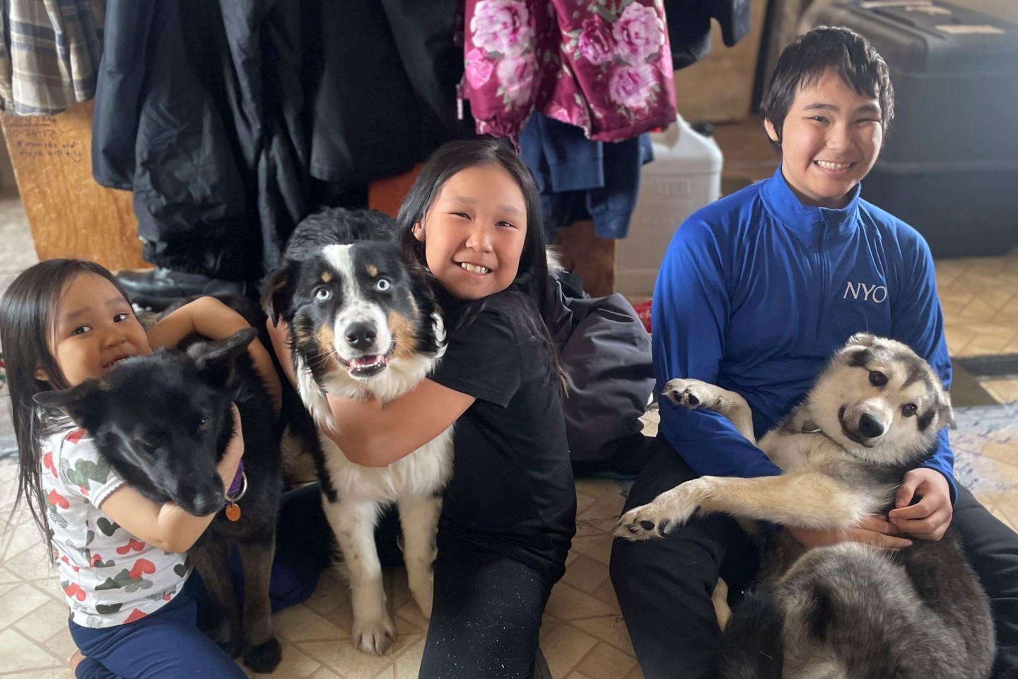 Der einjährige australische Schäferhund Nanuq (M) ist wieder mit seinem Rudel vereint.