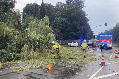 Fahrradfahrer in Bergisch Gladbach bei Gewitter von Baum begraben