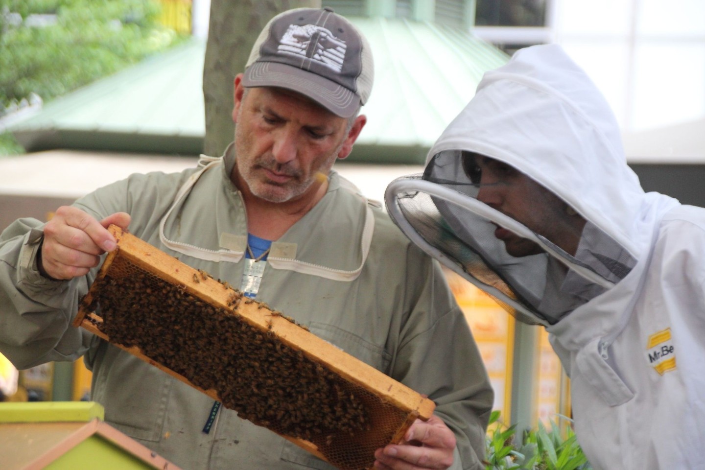 Imker Andrew Coté (l.) checkt gemeinsam mit einem Helfer die Bienenstöcke im New Yorker Bryant Park. Imkern in New York wird immer beliebter.