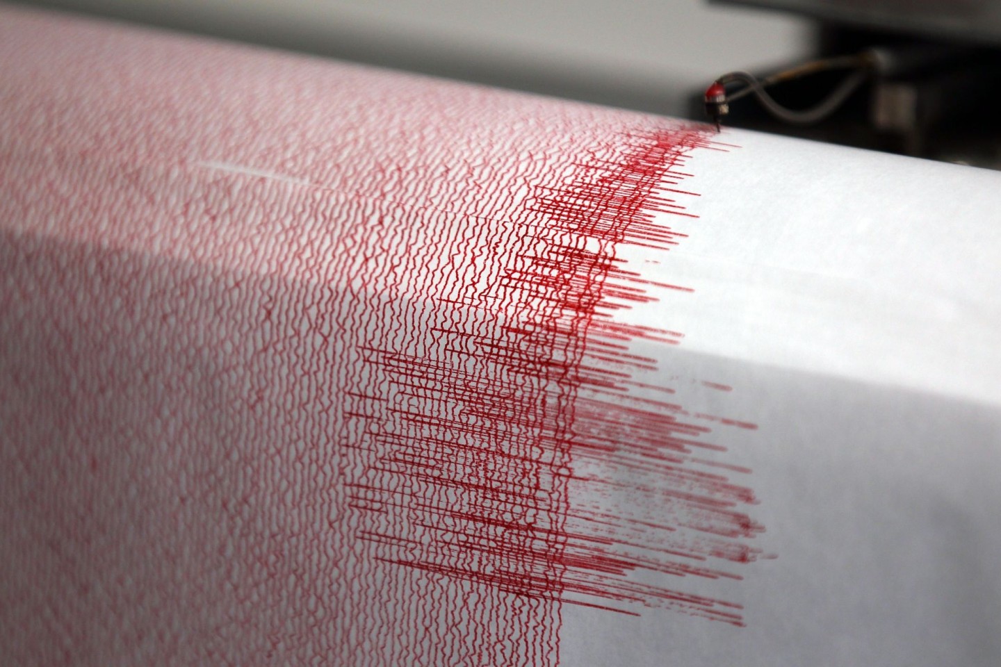 Das European-Mediterranean Seismological Centre (EMSC) hat leichte Erdstöße im Westjordanland vermeldet.