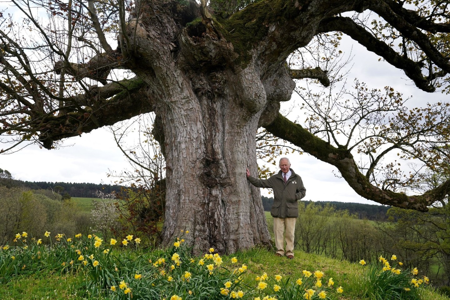 König Charles III. bedankt sich für die Beteiligung an der Initiative namens «Queen's Green Canopy» (QGC).