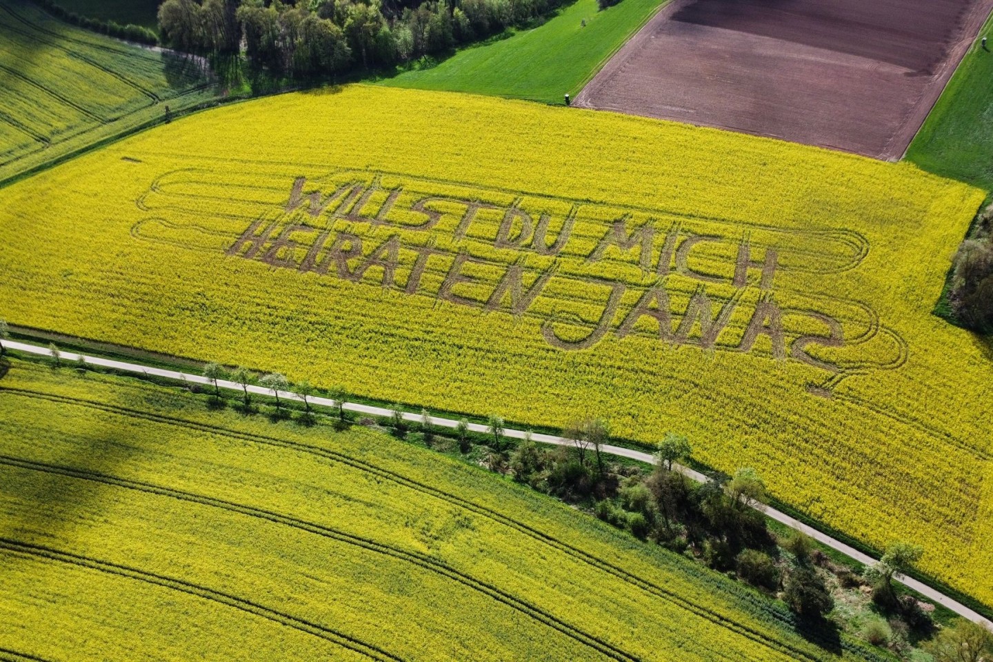 «Willst Du mich heiraten, Jana?», steht in einem Rettichfeld bei Rauschenberg im Landkreis Marburg-Biedenkopf.