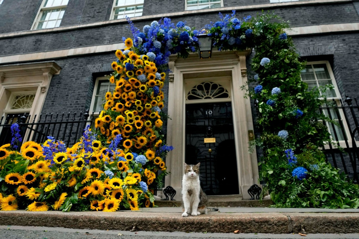 Kater Larry, «Oberster Mäusejäger des britischen Kabinetts», steht vor seinem Domizil in der Downing Street.