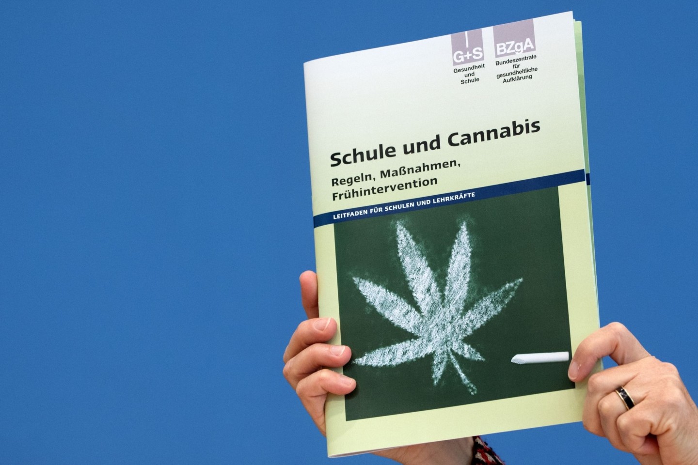 «Die Teillegalisierung vermittelt ein falsches Signal der Harmlosigkeit des Cannabis-Konsums», sagt Stefan Düll.