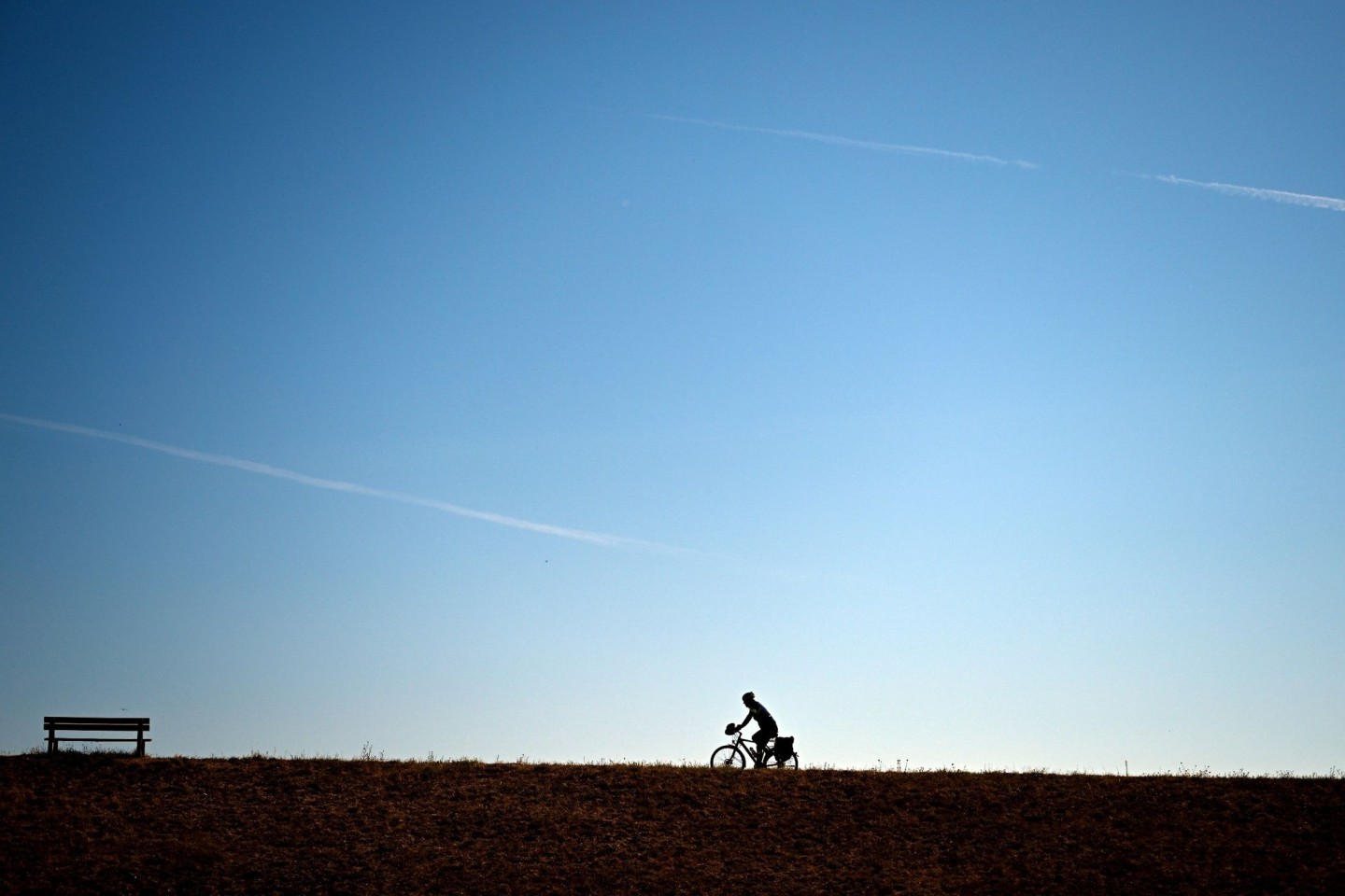 Ein Radfahrer auf dem Rheindamm.