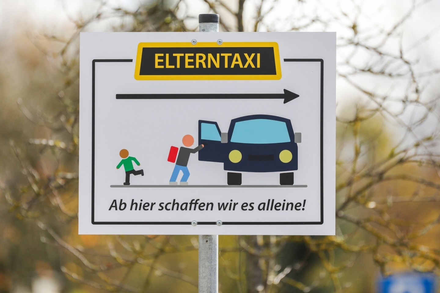 Einer Umfrage zufolge werden in den warmen Monaten 17 Prozent der Kinder hauptsächlich mit dem Auto zum Unterricht gebracht, im Herbst und Winter sind es 22 Prozent.