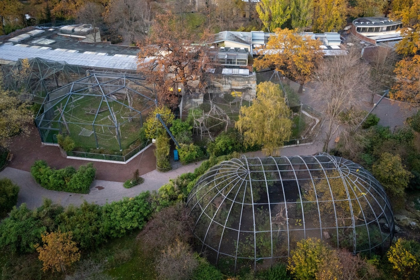 Rund fünf Wochen muss(te) der Berliner Zoo wegen eines Vogelgrippe-Falles schließen; an Heiligabend darf er - unter Auflagen - wieder öffnen.