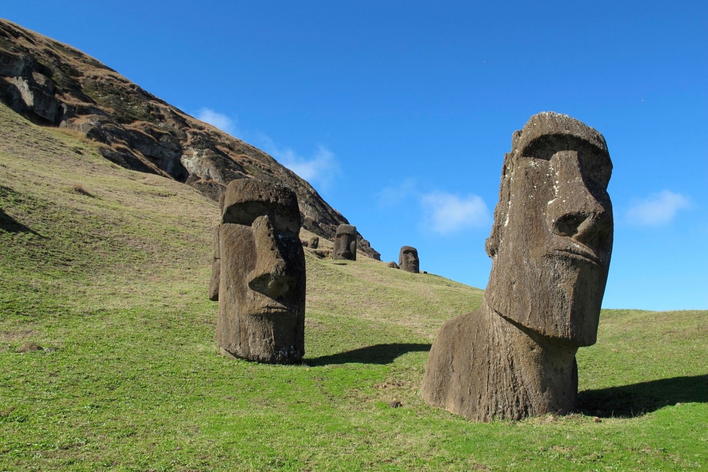 Ikonisches Motiv: In Stein geschlagene Köpfe, «Moais», stehen auf einem Feld auf der Osterinsel.