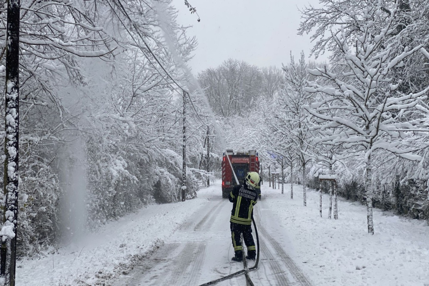 Kräfe der Feuerwehr im Einsatz in Kritzendorn, um Stromleitungen vor herabfallenden Ästen zu schützen.