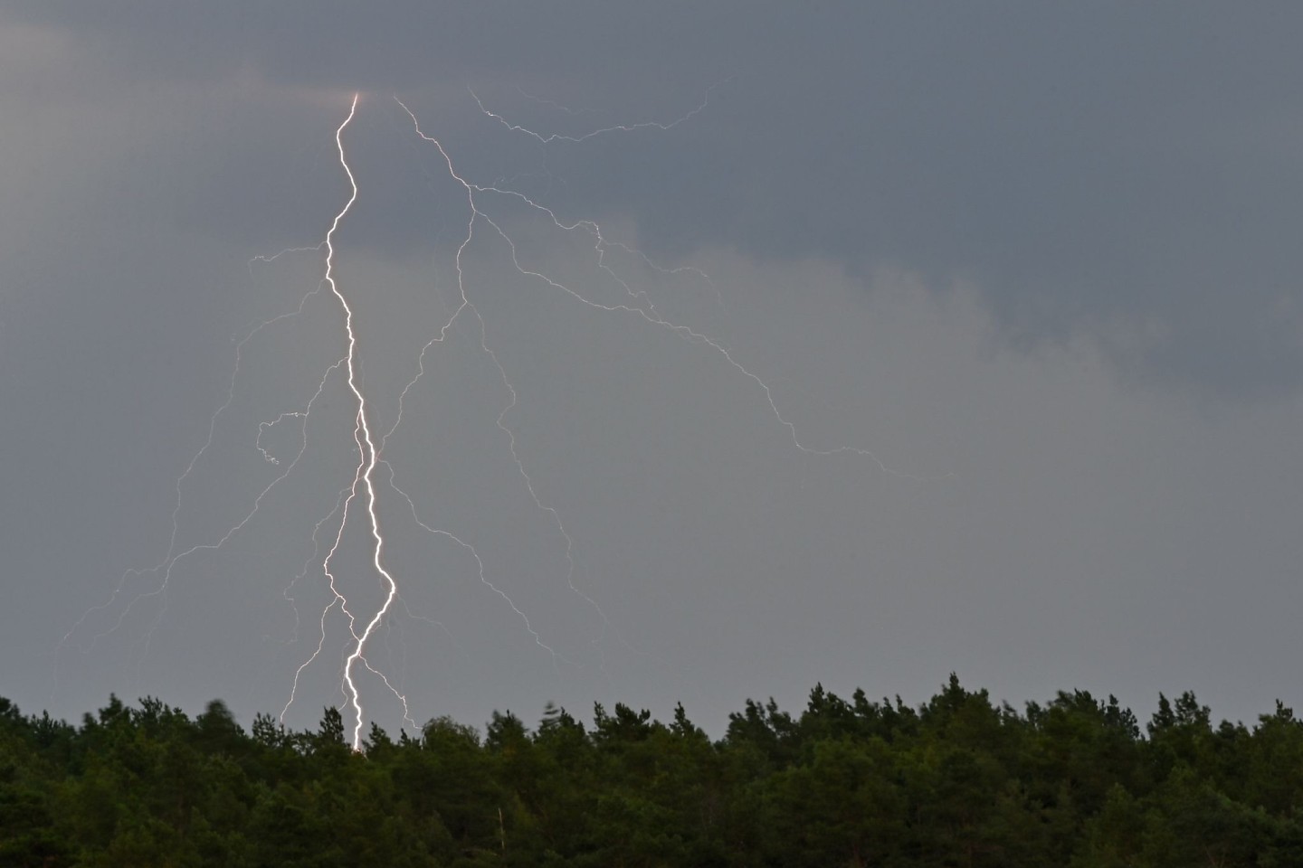 Regen und Gewitter über Brandenburg