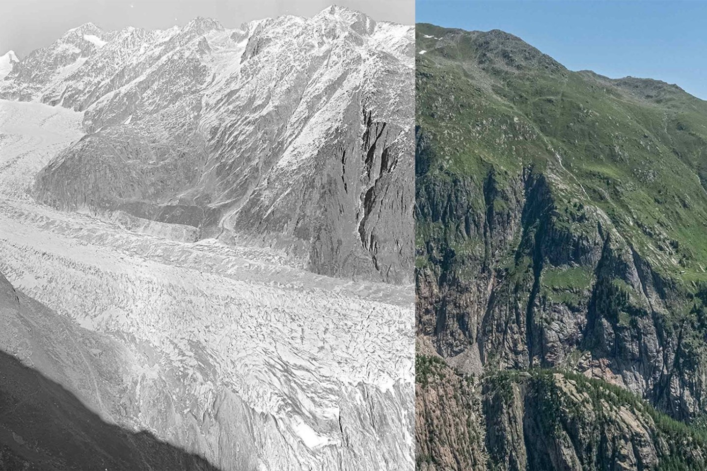 Der Fieschergletscher in den Jahren 1928 (l.) und 2021.