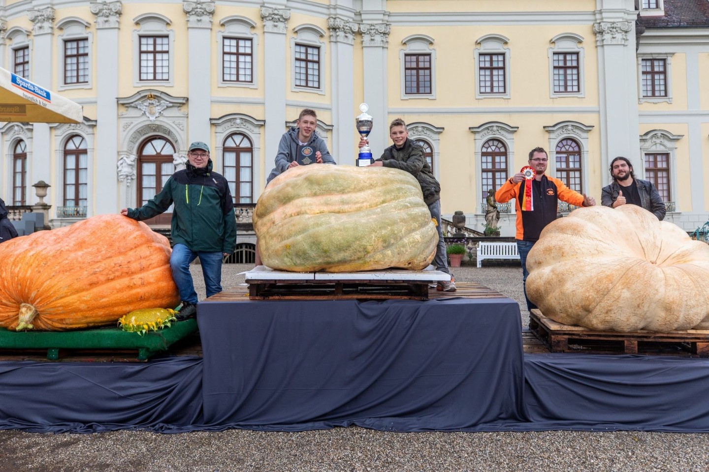 Ganz schön dicke Dinger: Für Deutschland gingen diese drei Züchter beim Kürbis-Wettbewerb ins Rennen.