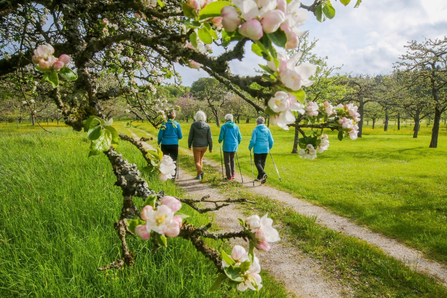 Spaziergängerinnen bei Bernloch auf der Schwäbischen Alb.