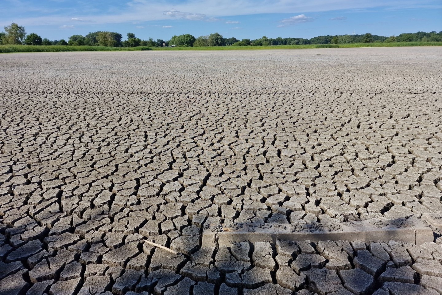 Ausgetrocknete Fischteiche in Brandenburg an der Havel.