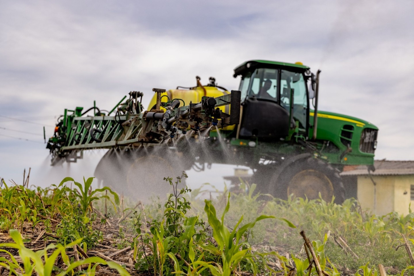 Die Landwirtschaft ist einer Studie zufolge für 74 Prozent des menschlichen Lachgas-Ausstoßes verantwortlich (Symbolbild).