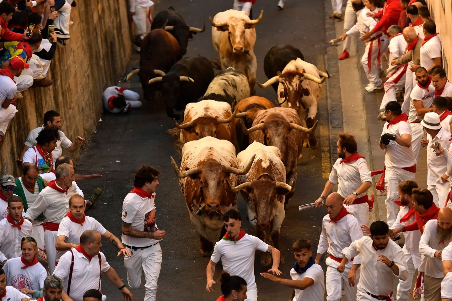 Kurz, heftig und gefährlich - so sind die Stierhatzen seit Jahrhunderten in Pamplona.