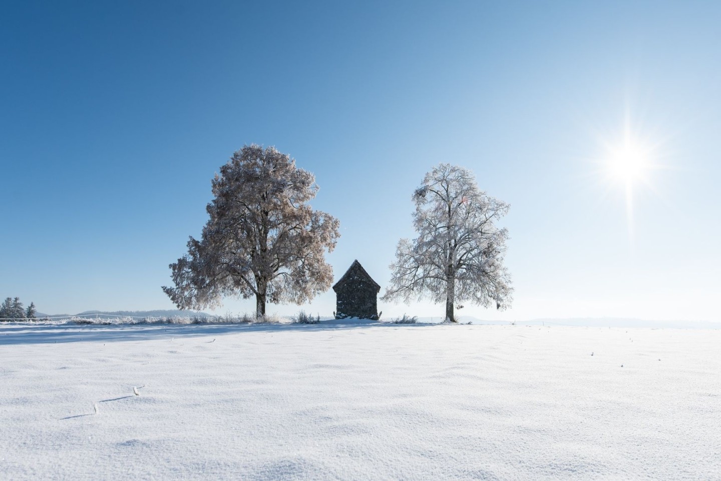 Nach kalten Tagen soll das Wetter in Deutschland in der neuen Woche milder werden.