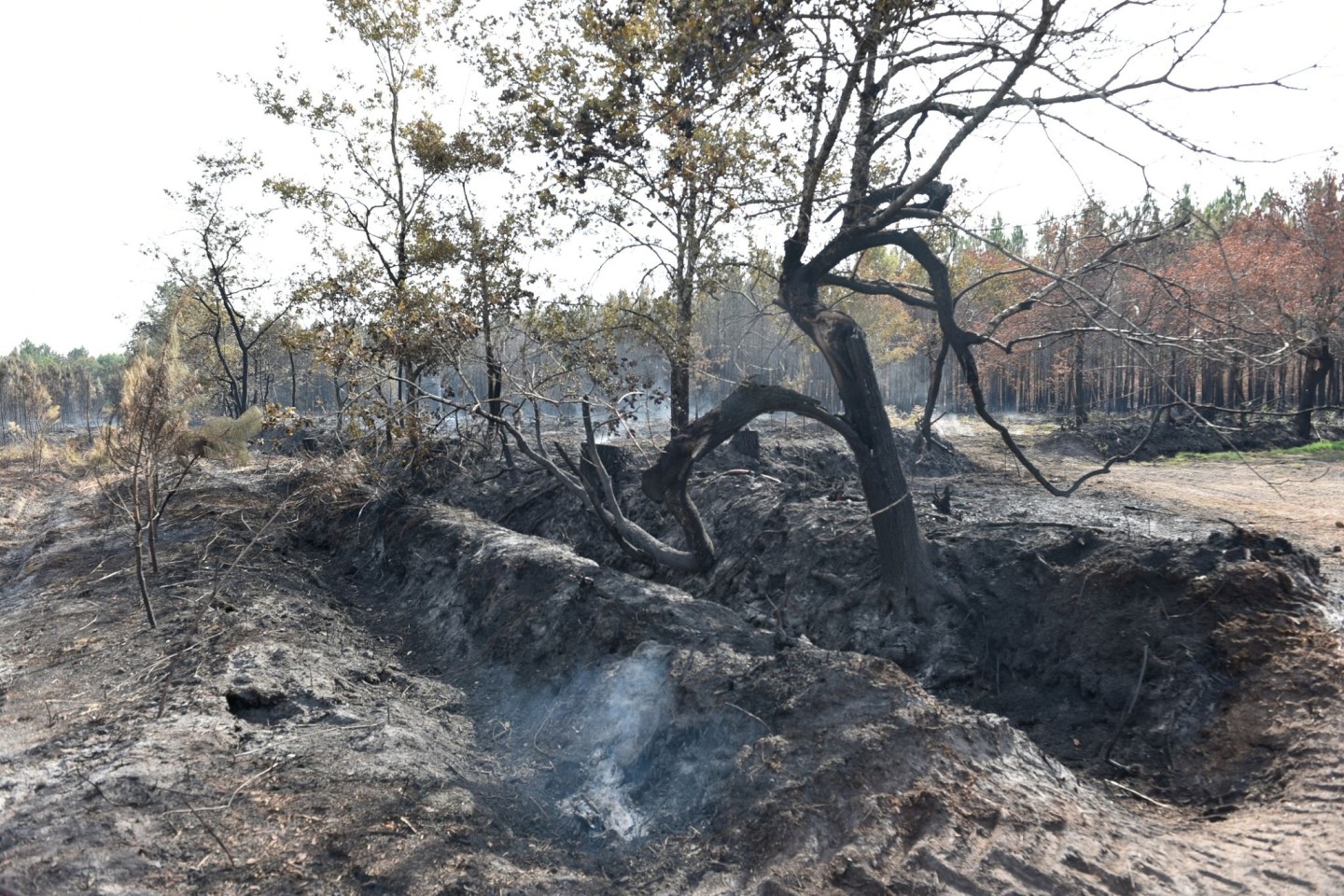 Das Feuer an der Atlantikküste bei Bordeaux ist unter Kontrolle.