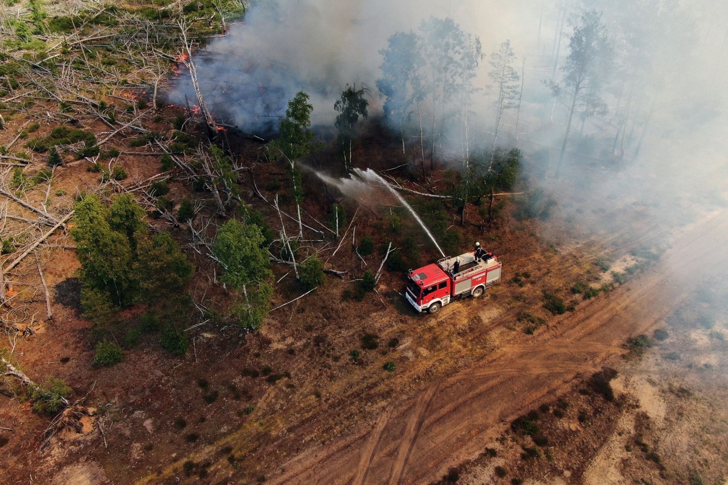 Einsatzkräfte der Feuerwehr bekämpfen in einem Waldstück nahe Jüterbog das Feuer.