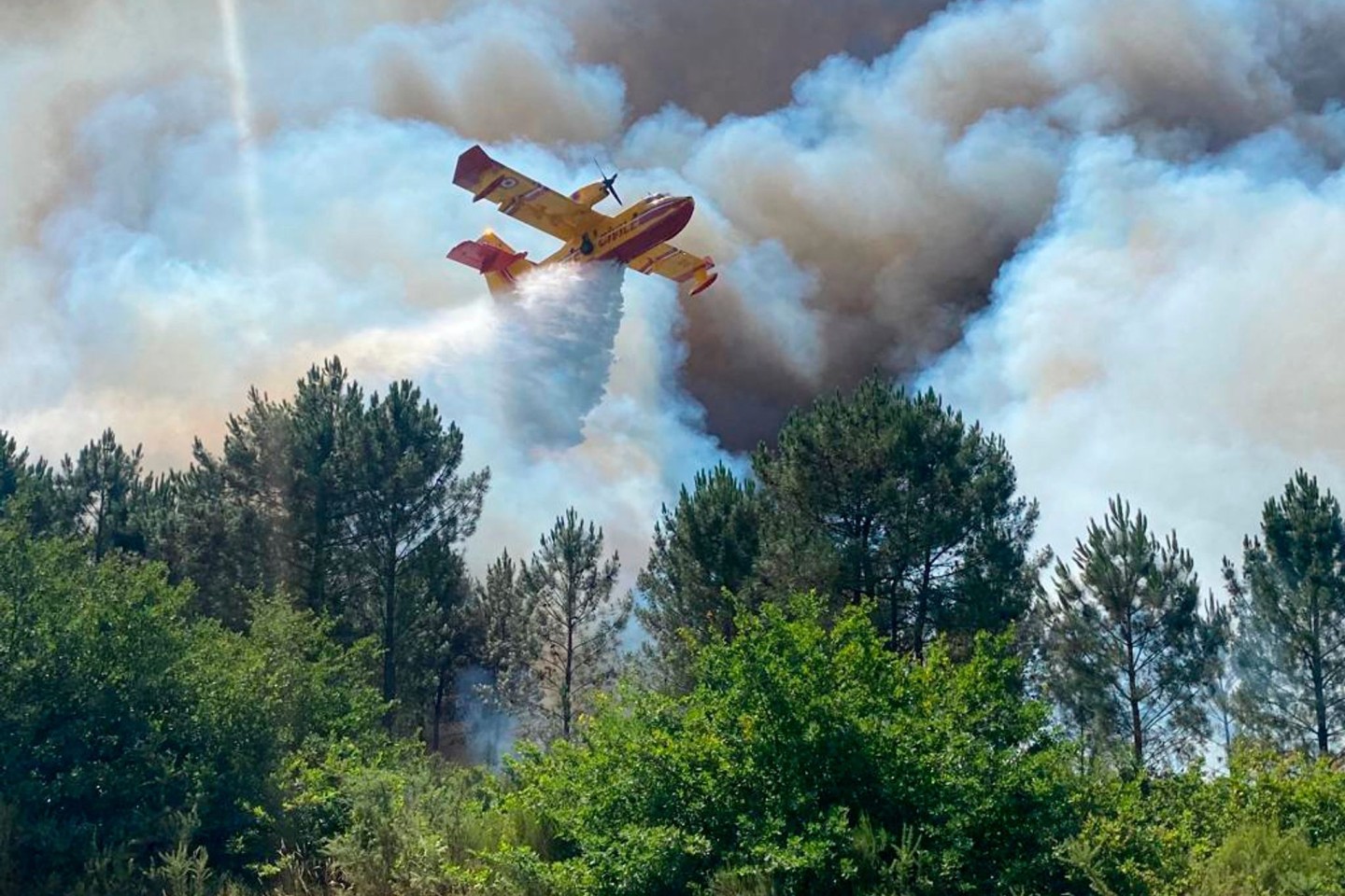 Ein Canadair-Löschflugzeug ist nahe La Teste-de-Buch im Südwesten Frankreichs im Einsatz.