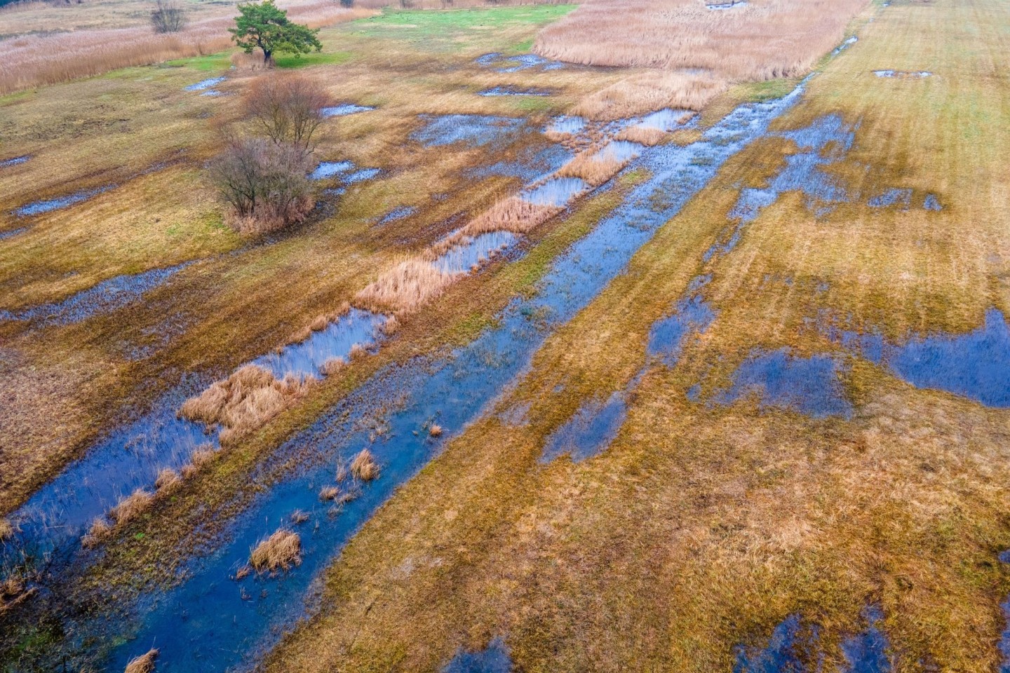 Das rund 36 Hektar große wiedervernässte Hangquellmoor Binsenberg. Trockengelegte Moore stoßen Treibhausgas aus. Ihre Wiedervernässung gilt als wichtige Klimaschutz-Maßnahme.