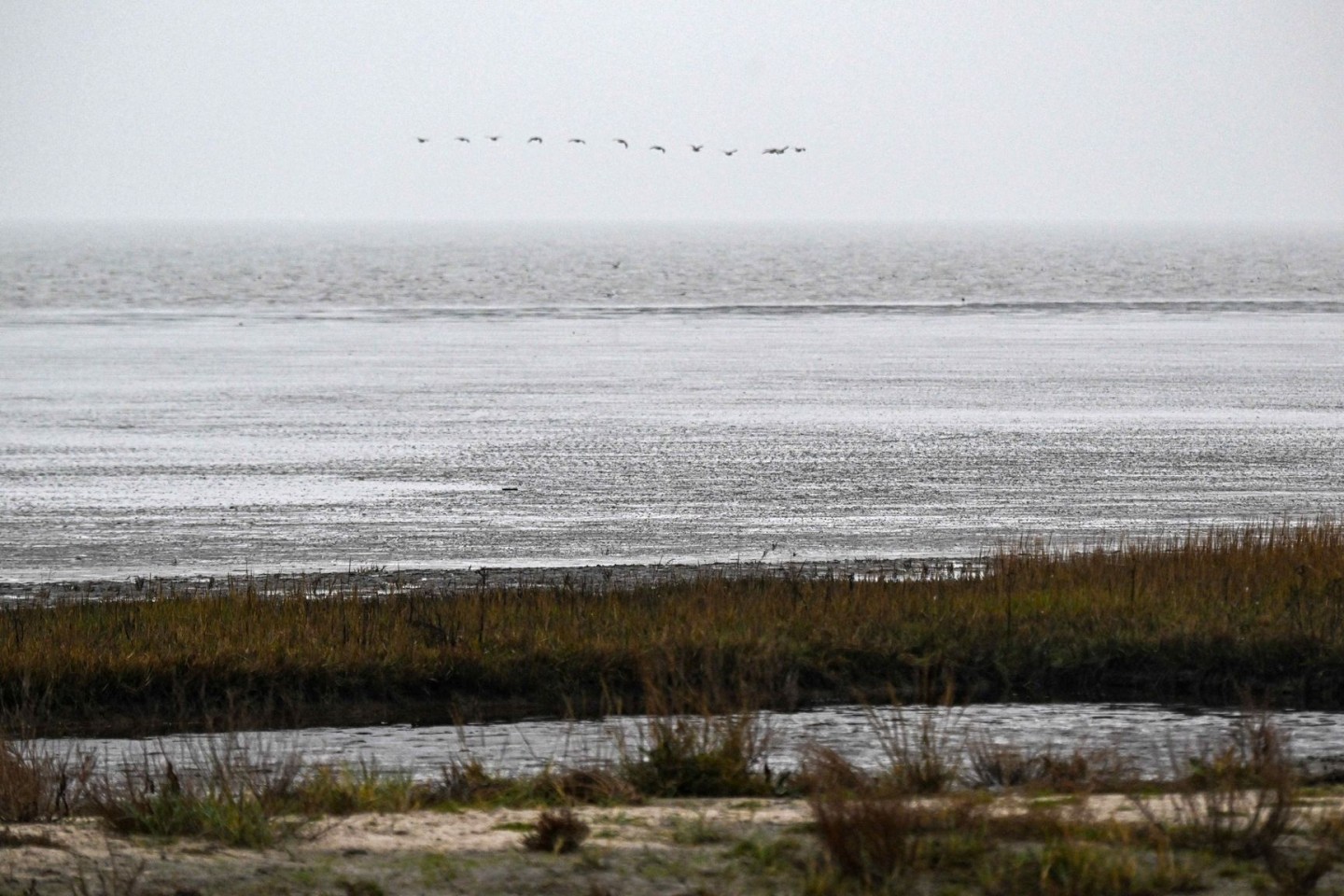 Das Watt vor dem Strand von Dangast in Nidersachsten. Am 01.12.2022 endet die 14. trilaterale Wattenmeerkonferenz von Deutschland, Dänemark und den Niederlanden.