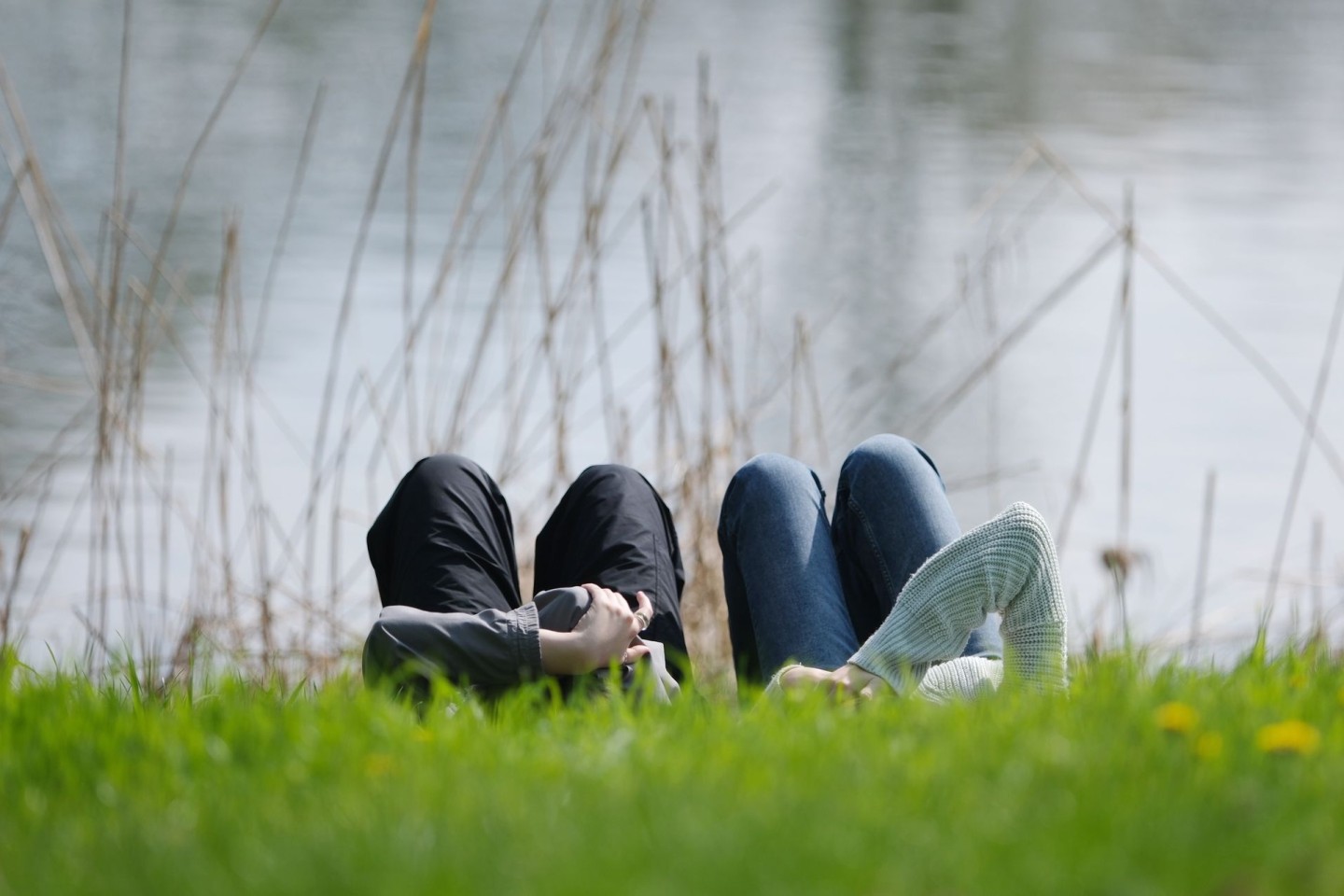 Menschen liegen am Ostermontag bei Sonnenschein auf einer Wiese im Clara-Zetkin-Park in Leipzig.