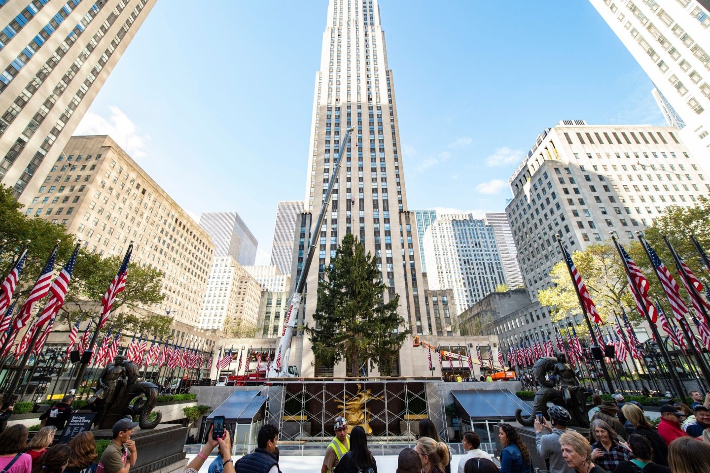 Die Fichte aus Queensbury wird mit einem Kran auf der Rockefeller Plaza aufgerichtet.