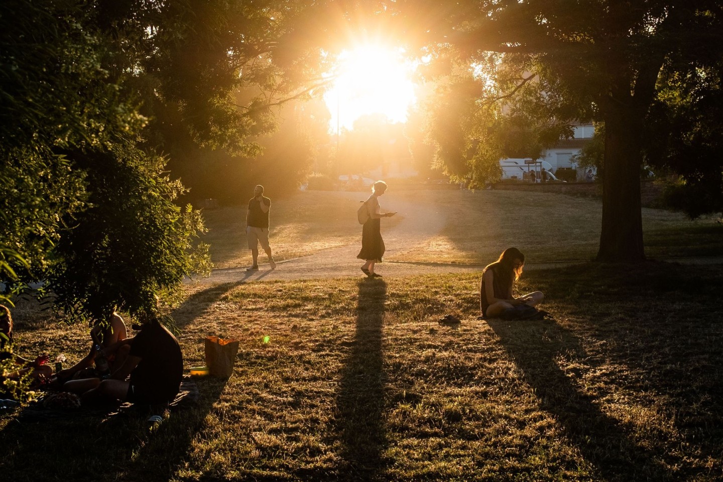 Die Abendsonne bescheint einen der trockenen, staubigen Wege im Frankfurter Günthersburgpark.