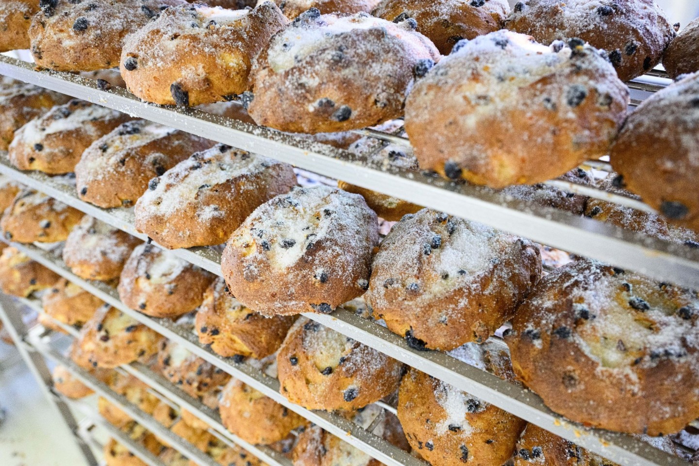 Die Dresdner Christstollen werden im Hochsommer gebacken.