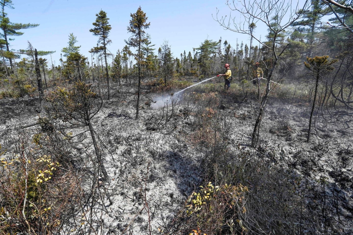 Einsatzkräfte bei Löscharbeiten in einem Waldgebiet in Kanada.